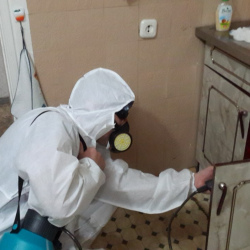 Дезинфекция от муравьев в квартире в Дагестанских Огнях
