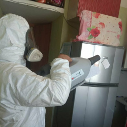 Уничтожение насекомых в квартире. Дагестанские Огни